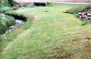 Site2.jpg